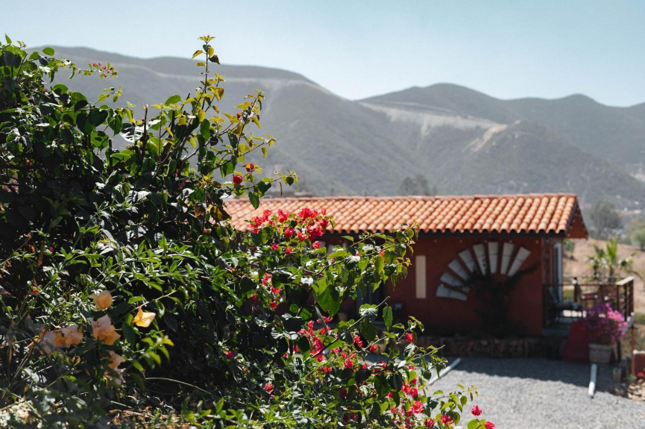 Bed and Breakfast Vina Calabria Valle de Guadalupe Exteriér fotografie