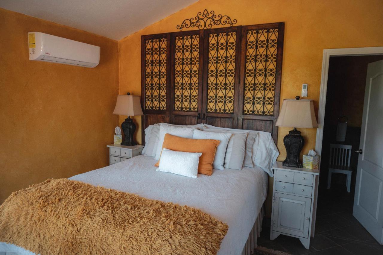 Bed and Breakfast Vina Calabria Valle de Guadalupe Exteriér fotografie
