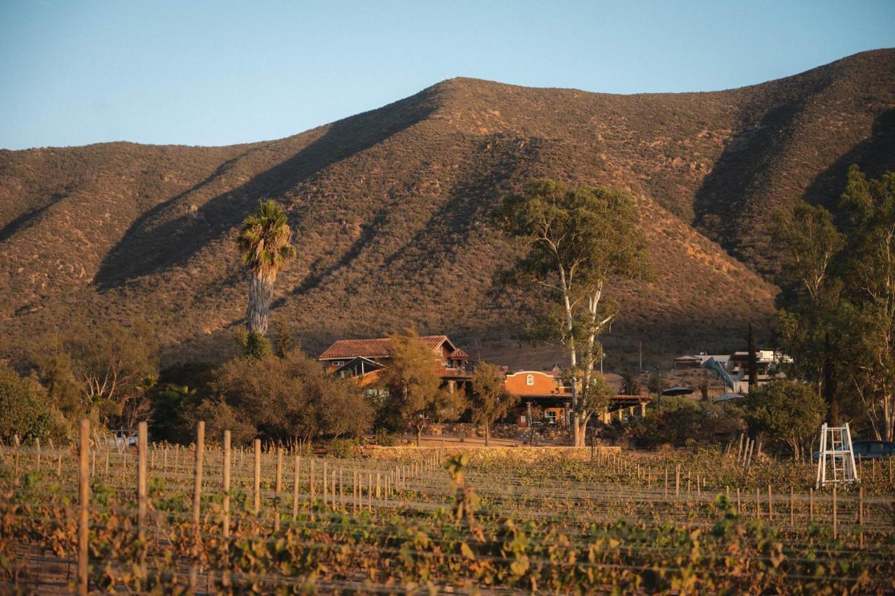 Bed and Breakfast Vina Calabria Valle de Guadalupe Exteriér fotografie